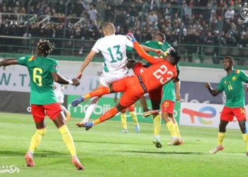 Algérie – Cameroun : les temps forts du match en vidéo