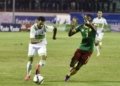 Cameroun – Algérie : avantage aux Lions indomptables