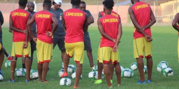 Lions indomptables : un stage pour joueurs locaux en vue