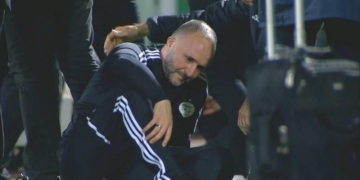 Algérie-Cameroun : de graves accusations contre Djamel Belmadi