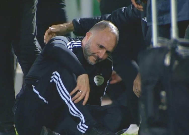 Algérie-Cameroun : de graves accusations contre Djamel Belmadi