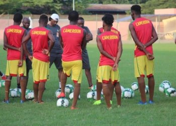 Lions indomptables : un stage pour joueurs locaux en vue