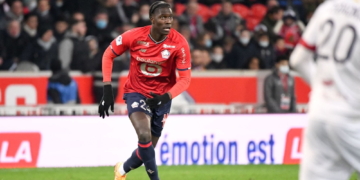 Lions indomptables : le Cameroun perd un autre binational