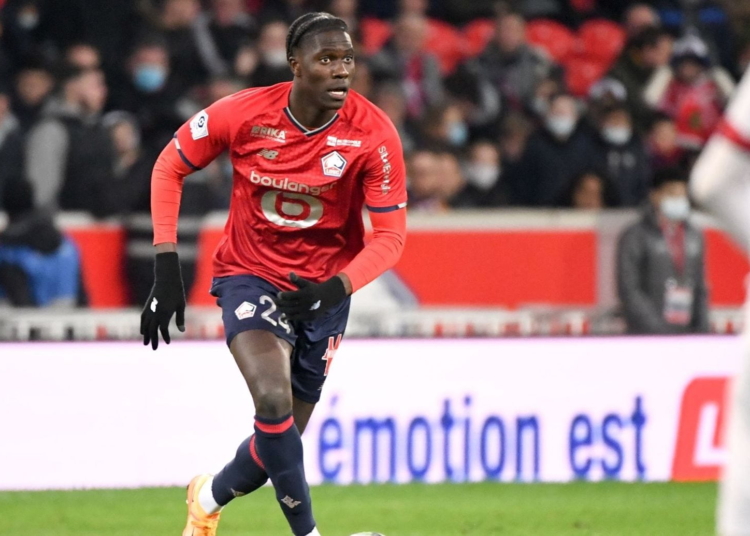 Lions indomptables : le Cameroun perd un autre binational