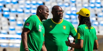 Lions indomptables : concentration maximale