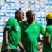 Lions indomptables : concentration maximale