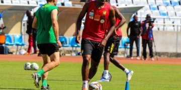 Lions indomptables : concentration maximale