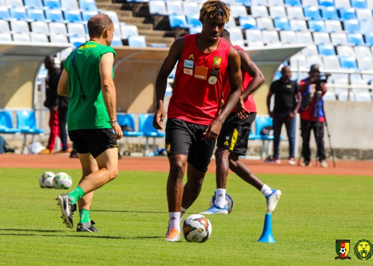 Lions indomptables : concentration maximale