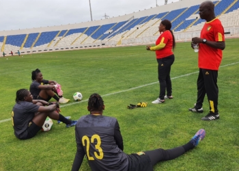 Lionnes Indomptables : Il se passe des choses bizarres dans la tanière