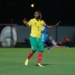 Botswana - Cameroun : le match en images