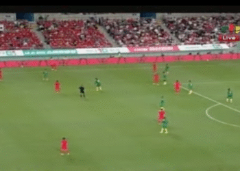 Corée du Sud - Cameroun en direct