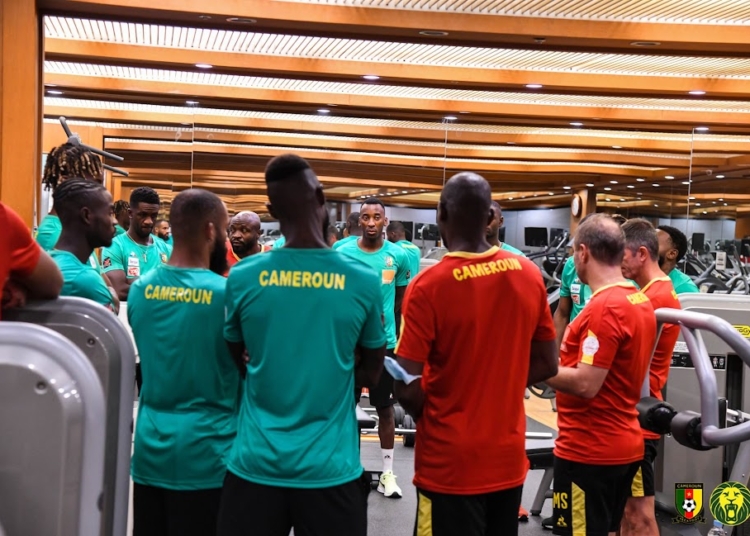 Jeudi des Lions Indomptables : demandez le programme