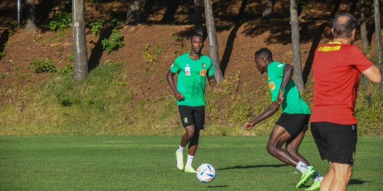 Séoul : le samedi des Lions indomptables en images