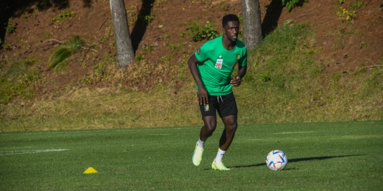 Séoul : le samedi des Lions indomptables en images