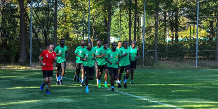 Séoul : le samedi des Lions indomptables en images