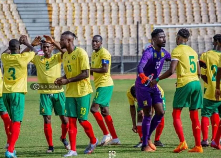 Lions Espoirs : attrapés avec un pistolet, cinq joueurs exclus