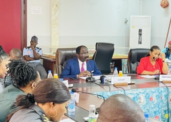 Cameroun - Jamaïque: réunion des acteurs