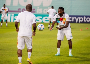 CDM 2022&nbsp;: les Lions révisent leur gamme avant la Suisse