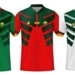 Lions indomptables : les maillots One All Sport dévoilés