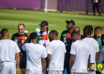 CDM 2022 : une première séance rythmée pour les Lions