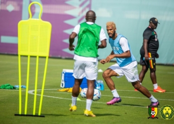 CDM 2022 : les Lions à l&rsquo;entraînement (images)