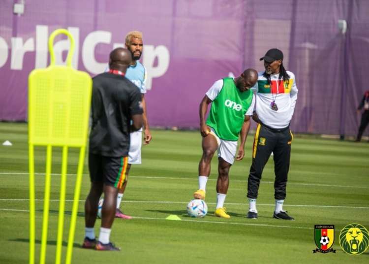 CDM 2022 : les Lions à l’entraînement (images)