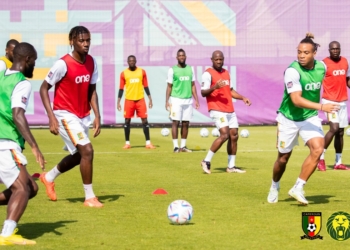 CDM 2022&nbsp;: Lions Indomptables, au boulot (en images)