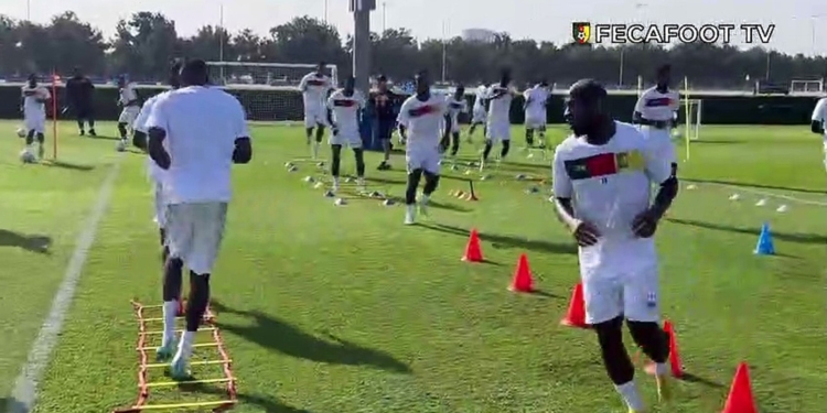 Abu Dhabi: le mercredi des Lions Indomptables