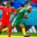 Cameroun – Suisse : les Lions Indomptables et leur note