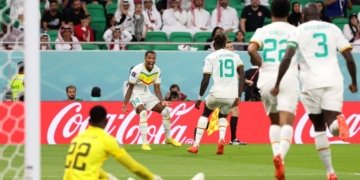CDM 2022&nbsp;: le Sénégal se relance et élimine le Qatar