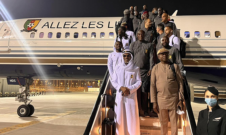 CDM 2022 : les Lions de retour au bercail