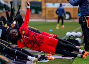 CHAN 2022 : les Lions locaux d’attaque