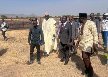 Garoua : deux stades confiés à Prime Potomac à l’abandon 