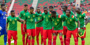 Sélections nationales : le bilan catastrophique de la nouvelle Fecafoot