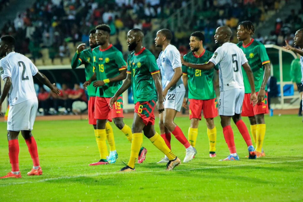 Cameroun - Namibie : les images du match