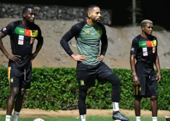 Lions Indomptables : 14 joueurs déjà dans la tanière