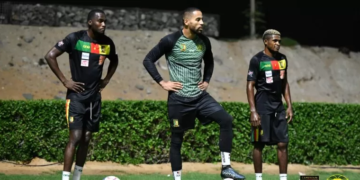 Lions Indomptables : 14 joueurs déjà dans la tanière