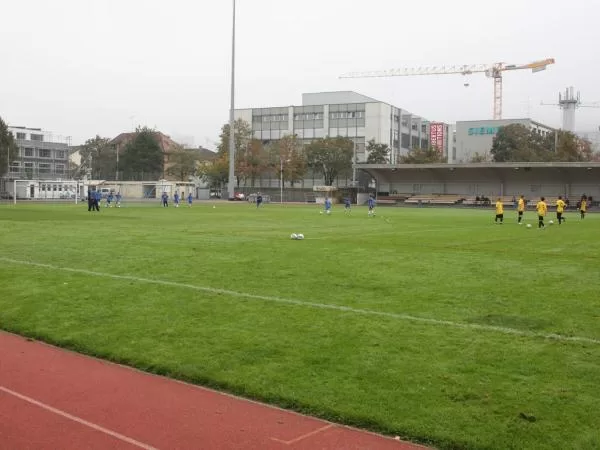 stadium photo