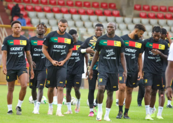 Lions Indomptables : Clinton Njié et Christopher Wooh attendus