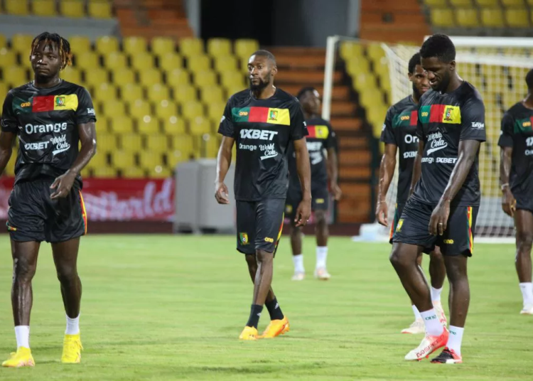 Lions indomptables : Garoua leur a toujours souri