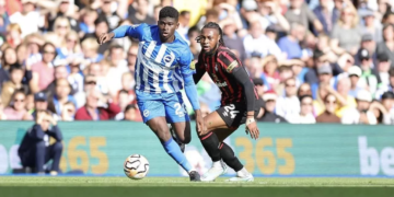 Premier League : Carlos Baleba fait ses débuts avec Brighton