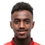 Ibrahim Hussain Muhammad Mahnashi