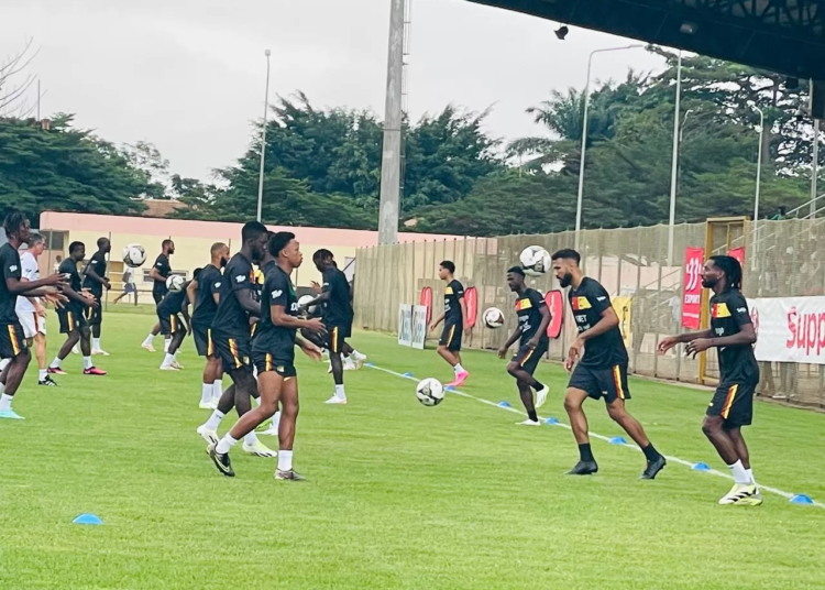 CAN 2023 : "on a la chance d'avoir André Onana"