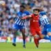 Carlos Baleba : la nouvelle perle de Brighton
