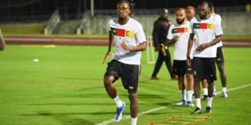 Lions Indomptables : ce qui les attend ce jeudi