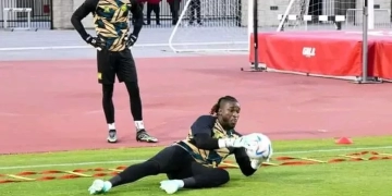 Lions indomptables