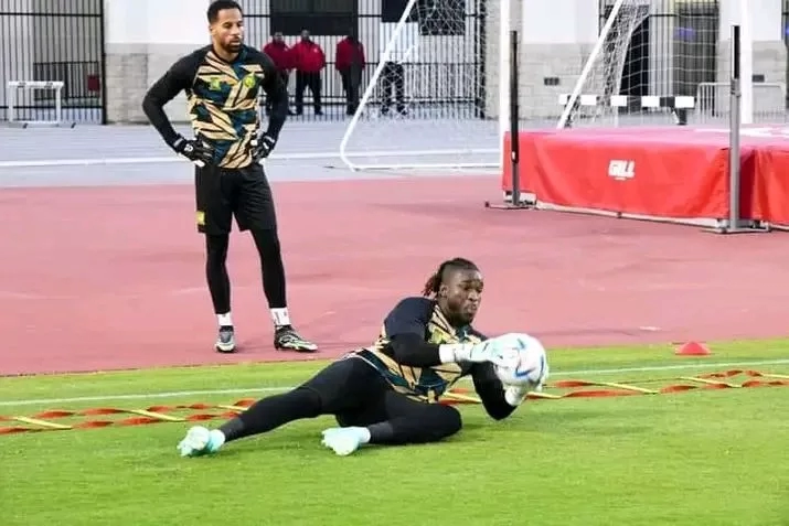 Lions indomptables