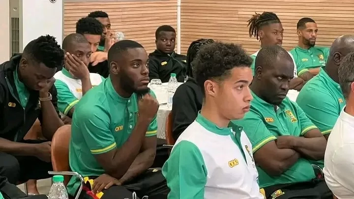Lions indomptables