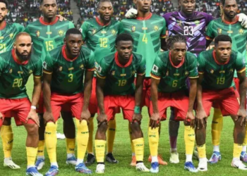 lions indomptables