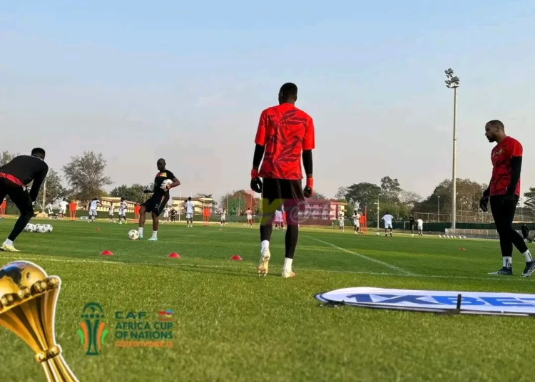 CAN 2023 : le jeudi des Lions Indomptables